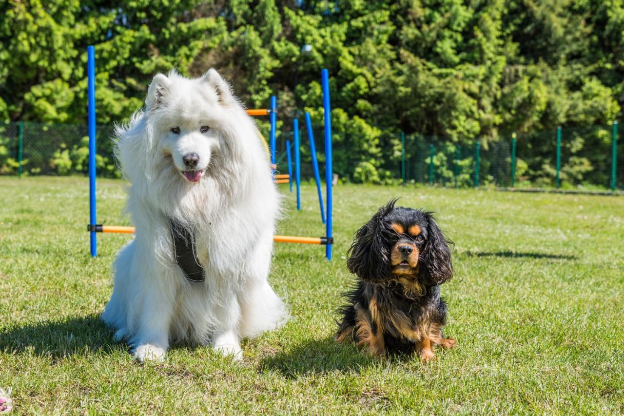 Domy Morskie Dog Friendly Jantar Esterno foto
