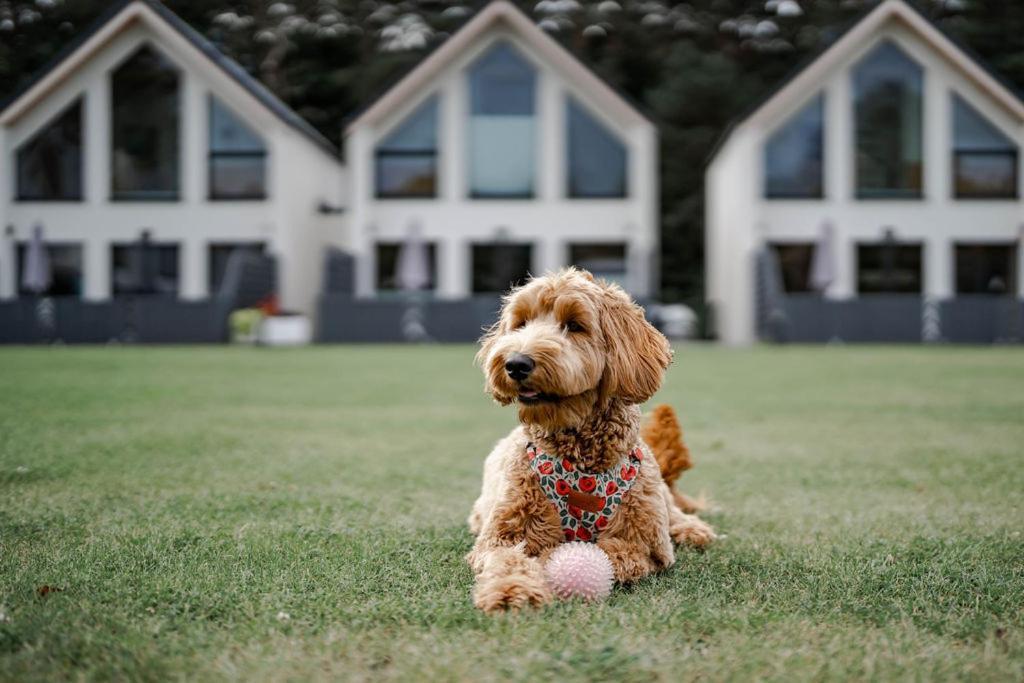 Domy Morskie Dog Friendly Jantar Esterno foto